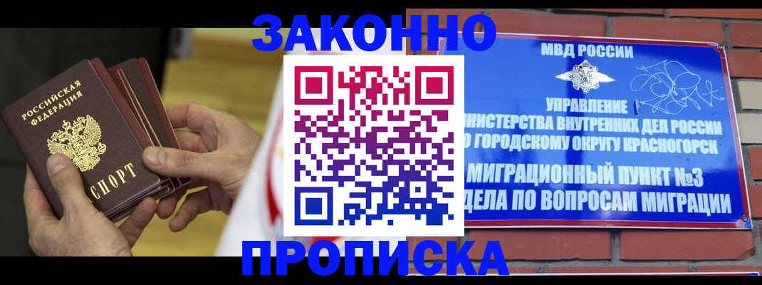 прописка для школы в Чкаловске